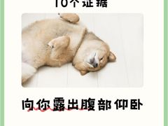-御宝贝·A梦猫科宠物医院(国际猫友好医院)