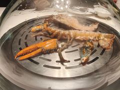 -青蓬蒸汽海鲜·深圳老字号·团建聚会(壹方城店)