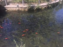 -水磨沟公园