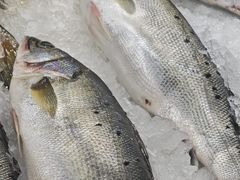 -物美大卖场(玉蜓桥店)