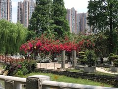 -温江公园