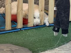 -MOJO密室逃脱(中街旗舰店)