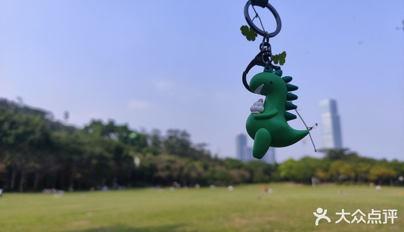 风筝篇 疫情过后回到深圳 第一逛的地方就来到了莲花山