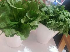 -陈记顺和潮汕鲜牛肉火锅(番禺迎宾大道店)