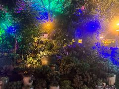 -山菌美食苑(振兴路店)