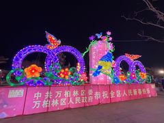 -万达广场(龙湖店)