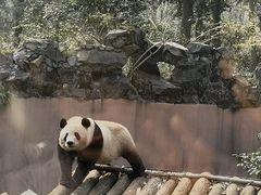 -杭州动物园