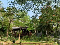 -深圳国际园林花卉博览园