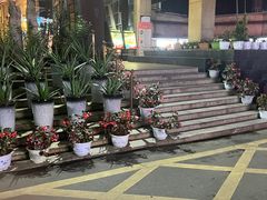 -天怡·鱼工厂(梅溪湖店)