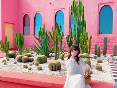 -漳州滨海火山岛自然生态风景区