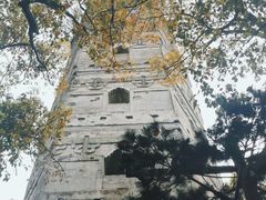 -江心屿景区