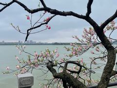 -无锡蠡湖国家湿地公园-蠡园