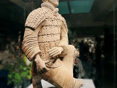 -秦始皇帝陵博物院(兵马俑)