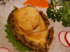 日式冻鲍鱼-金翠皇宫粤菜·点心·海鲜(科技园店)