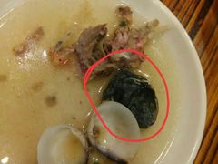 -鸭嘴鱼