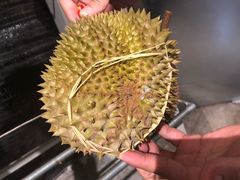 -都念榴莲·城市榴莲