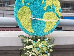 -南京奥林匹克体育中心-体育馆