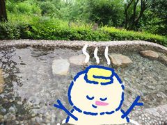 -天目湖涵田半山温泉