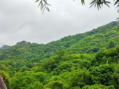 -阳台山森林公园
