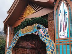 -西双版纳原始森林公园