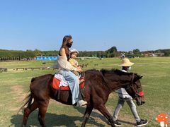 -武汉紫薇都市田园