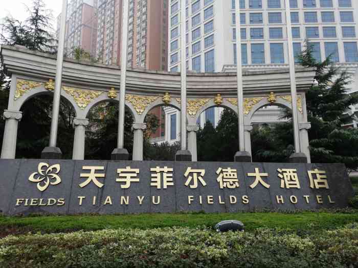 天宇菲尔德国际大酒店-"酒店服务太差,晚上睡觉有蟑螂,毛巾都是搽.