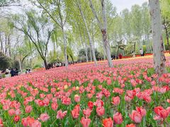 -郑州中国绿化博览园