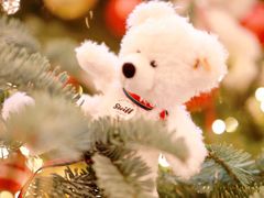 -Salon de Ville浦江汇(上海外滩华尔道夫酒店店)