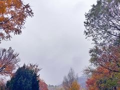 -百里山水画廊