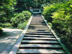 -虎跑公园