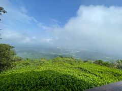 -黄埔油麻山森林公园