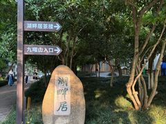 -九曜山