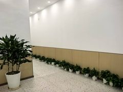 -学知乐教育·幼小衔接·小学科辅导(嘉定镇校区)