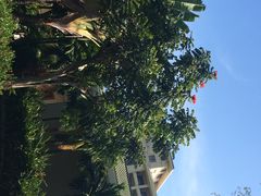 亚龙湾红树林度假酒店-三亚亚龙湾红树林度假酒店