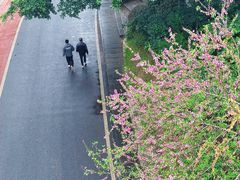 -仙岳公园