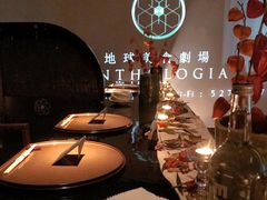 -地球美食剧场