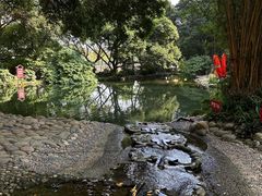 -成都市活水公园