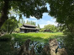 -桂湖森林公园
