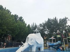 -青年湖公园水上世界