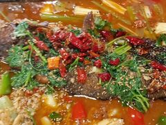 -听涛雅苑百味饺子老家菜馆
