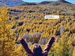 -灵山