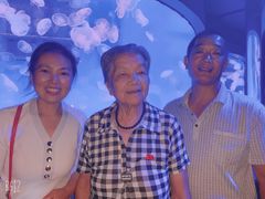 -大连圣亚海洋世界
