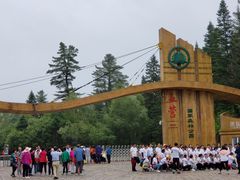 门面-五营红松林海景区