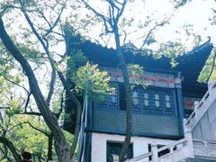 -石老人观光园