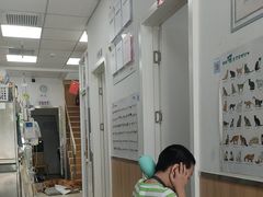 -宠福鑫康馨动物医院·骨科·眼科