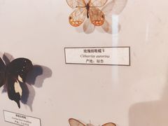 -中国湿地博物馆