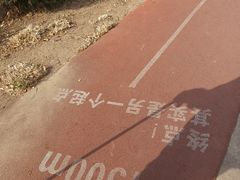 -绿岛公园(滨海新区)