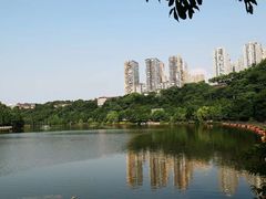 -重庆彩云湖湿地公园