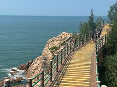 -广东惠东海龟国家级自然保护区