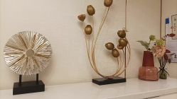 -茜尔维亚修身连锁(杨浦五角场店)